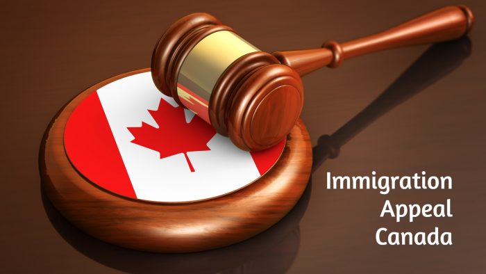 immigration lawyers in toronto